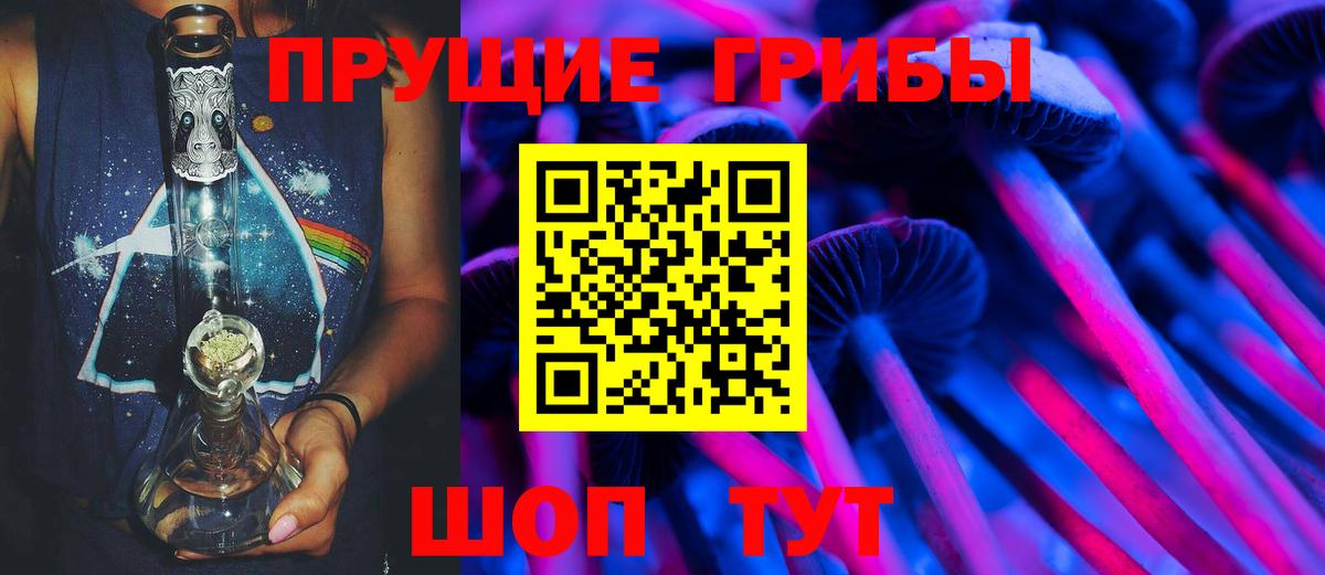 Псилоцибиновые грибы Psilocybine cubensis Амурск